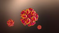 Alarming Study Suggests Hepatitis E Virus Could Be Sexually Transmitted, Linked to Male Infertility