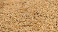 Rice Husk Ash: Scientists Produce Green Solution for Concrete Construction