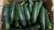 Salmonella Outbreak in Cucumbers Linked to Untreated Water Used by Florida Grower, Health Officials Say