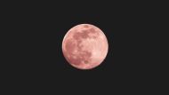 Supermoon Australia 2023: How to Watch it, Best Viewing Time, and More Full Moons