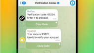 Telegram Verification